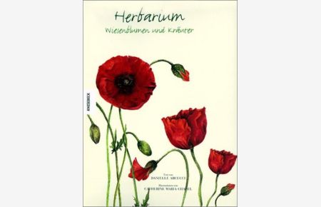 Herbarium: Wiesenblumen und Kräuter  - Wiesenblumen und Kräuter