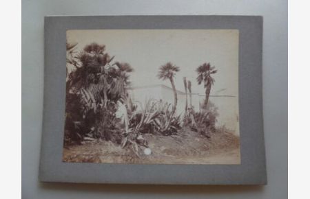 Fotografie - Fotografischer Abzug ca. 1890/1900 Marabout de la Bouyarea
