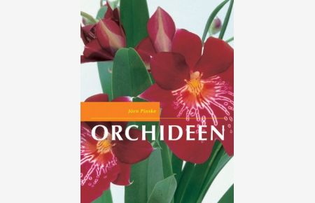 Orchideen.   - Jörn Pinske