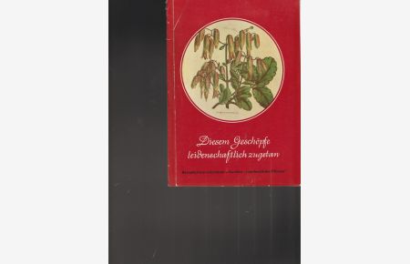 Diesem Geschöpfe leidenschaftlich zugetan.   - Bryophyllum Calycinum Goethes  phantastische Pflanze.