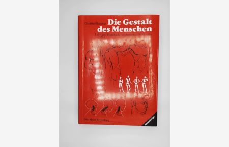 Die Gestalt des Menschen : Lehr- u. Handbuch d. Anatomie für Künstler.
