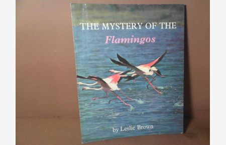 The Mystery of the Flamingos.