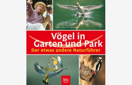 Vögel in Garten und Park  - Hans-Martin Busch