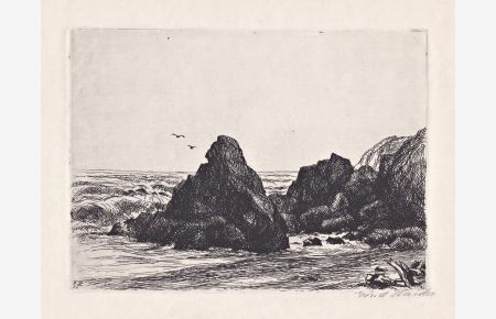 (Felsenküste / Rocky coastal landscape) - Meer sea seascape