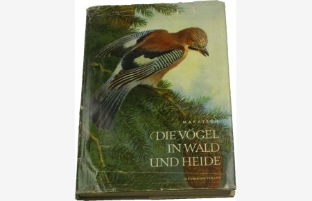 Die Vögel in Wald und Heide