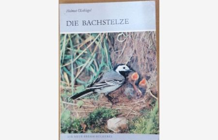 BACHSTELZE MOTACILLA ALBA (Die Neue Brehm-Bücherei: Zoologische, botanische und paläontologische Monografien)