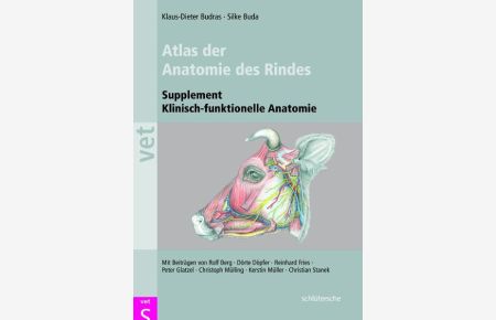 Klinische Anatomie des Rindes: Supplement zur klinisch-funktionellen Anatomie: Supplement klinisch-funktionelle Anatomie