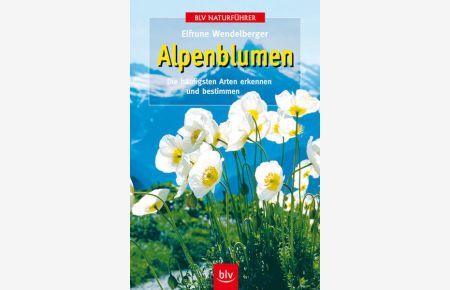 Alpenblumen: Die häufigsten Arten erkennen und bestimmen