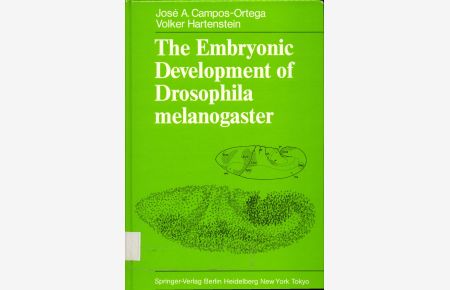 The embryonic development of Drosophila melanogaster.
