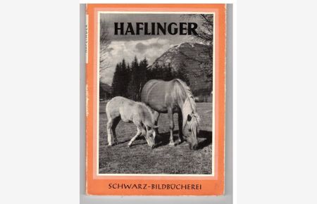 Haflinger  - m. 42 Bildtafeln von Robert Löbl