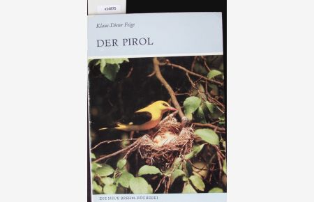 Der Pirol.   - Oriolus oriolus.
