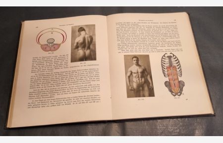 PLASTISCHE ANATOMIE : Die konstruktive Form des menschlichen Körpers.   - S. Mollier. Mit [eingedr., z. T. farb.] Bildern von Hermann Sachs