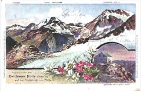 Ausblick von der Zwickauer Hütte (2989 m) auf den Talschluss von Pfelders.   - Farb. Offset-Ansichtskarte nach Vorlage von G. Falk.