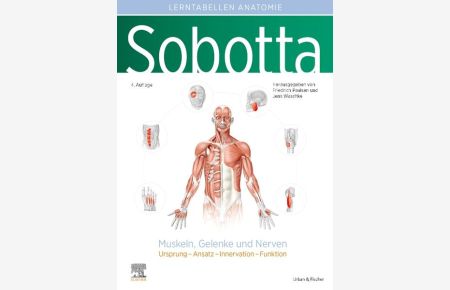 Sobotta Lerntabellen Anatomie Muskeln, Gelenke und Nerven  - Ursprung - Ansatz - Innervation - Funktion
