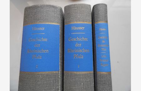 3 Bd. Geschichte Rheinischen Pfalz Reprint 1856 / 1970