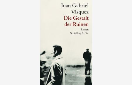 Die Gestalt der Ruinen: Roman