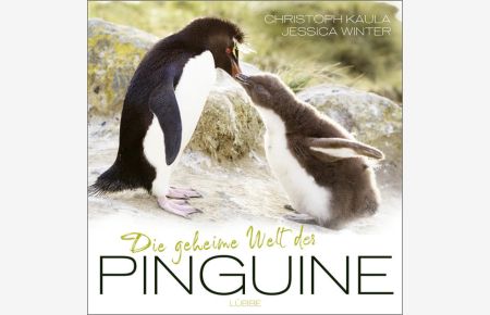 Die geheime Welt der Pinguine - Christoph Kaula, Jessica Winter