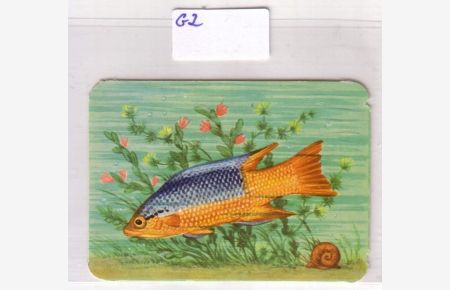 Glanzbild Fisch Barsch ? No. 99/36 made by KRÜGER in Western Germany ca. 7, 2 x 5 cm