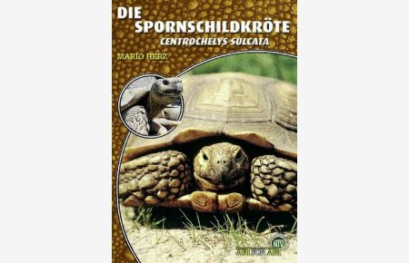 Die Spornschildkröte: Centrochelys sulcata: Geochelone Sulcata (Buchreihe Art für Art Terraristik)