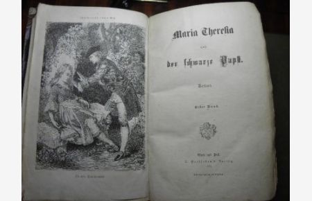 Maria Theresia und der schwarze Papst (erster und zweiter Band)  - Roman,