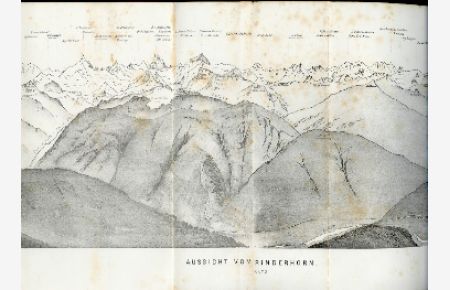 Aussicht vom Rinderhorn 10670'.   - Nach der Natur gezeichnet von G. Studer den 6. September 1854