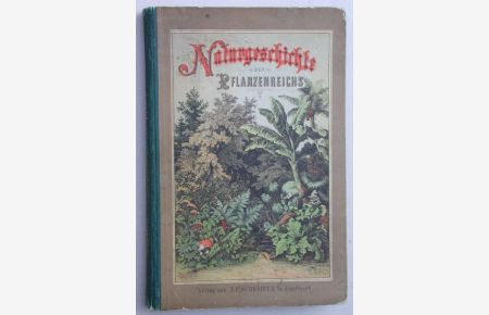 Naturgeschichte des Pflanzenreichs mit 601 Abb. auf 53 Tafeln.