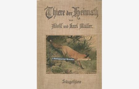 Thiere der Heimath. Deutschlands Säugethiere und Vögel. Erstes Buch.