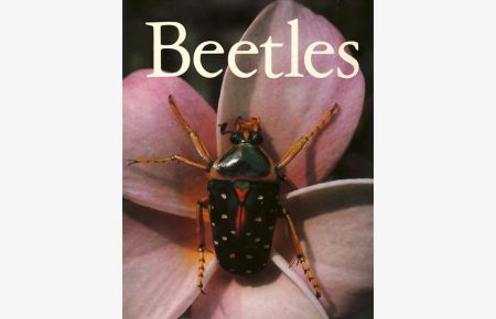 Beetles.