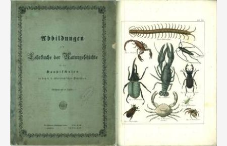 Abbildungen zum Lehrbuche der Naturgeschichte für die Hauptschulen in den k. k. österreichischen Provinzen. (Bestehend aus 12 Tafeln).