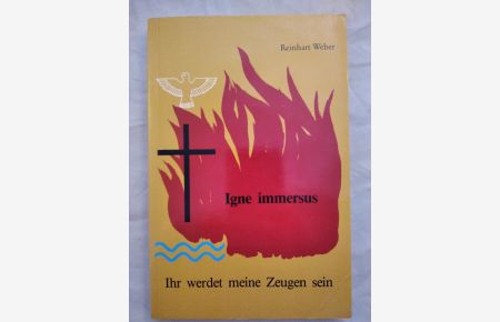 Bereitet dem Herrn den Weg. Igne immersus (Historischer Roman aus der Reformationszeit).