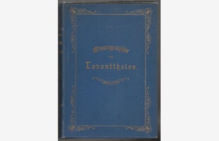 Das Lavantthal. Ein monographischer Beitrag zur Heimatkunde.