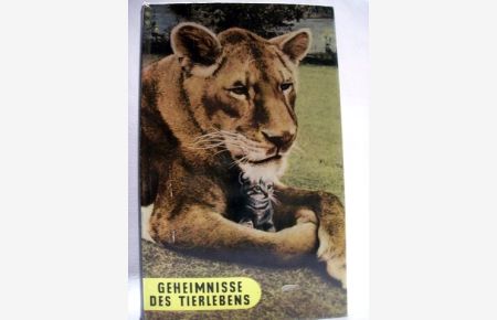 Geheimnisse des Tierlebens  - Wunder u. Rätsel d. Tierwelt / Rudolf Freericks