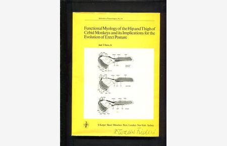 Functional myology of the hip and thigh of cebid monkeys and its implications for the evolution of erect posture.   - Jack T. Stern, Bibliotheca primatologica ; No. 14