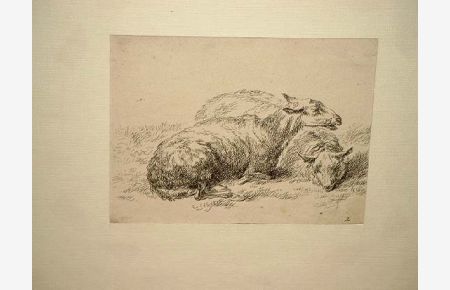 Drei liegende Schafe ( aus:  Suite des moutons ) um 1650.