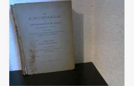 Die Kunstdenkmäler des Amtsbezirks Heidelberg.