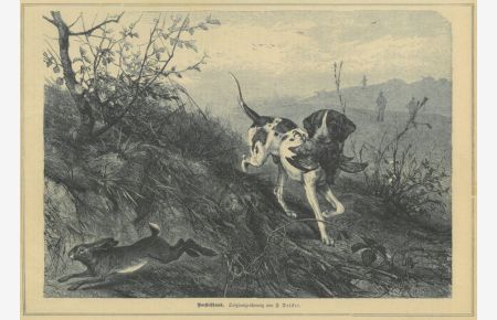 Vorstehhund mit erlegtem Rebhuhn im Maul, nach links läuft ein Hase davon, im Hintergrund mehrere Jäger.