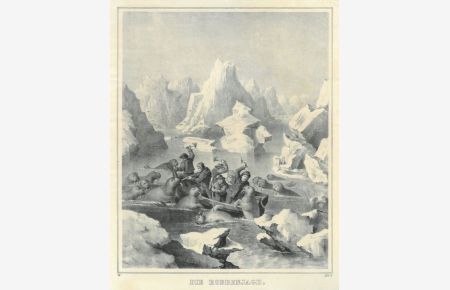 Die Robbenjagd. Aus einem Boot im Eismeer schlagen fünf Jäger auf Robben bzw. Walrosse ein, ein Jäger mit Flinte.
