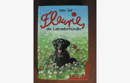 Fleurie, die Labradorhündin
