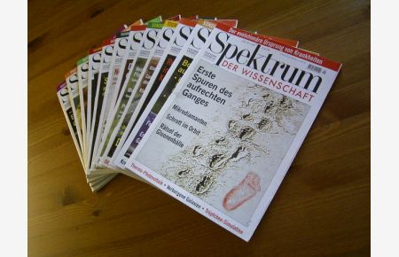 Spektrum der Wissenschaft. Heft 01 - 12 / 1999.