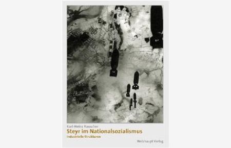 Steyr im Nationalsozialismus, Industrielle Strukturen: BD 2 [Gebundene Ausgabe] Zwangsarbeit Häftlingseinsatz Karl-Heinz Rauscher (Autor)
