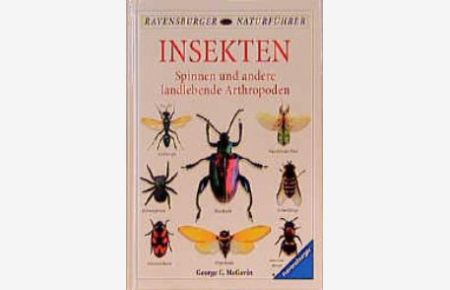 Insekten von George C. McGavin (Autor), George C. MacGavin (Autor)