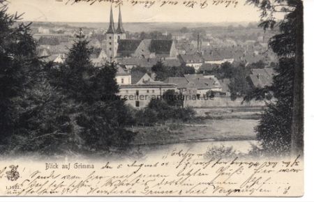 Blick auf Grimma
