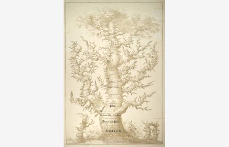 Die Herrscherfamilie der Wittelsbacher, gezeichnet als wachsender Baum mit Ästen und Zweigen, beginnend mit ihrer Abstammung von Otto von Wittelsbach bis zur Geburt des Prinzen Luitpold, des späteren Prinzregenten, im Jahre 1821.