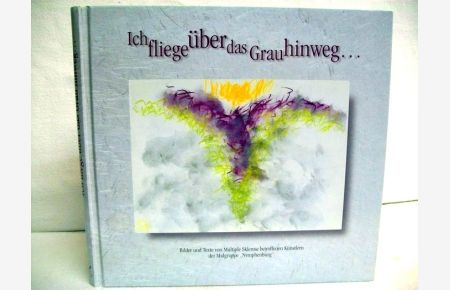 Ich fliege über das Grau hinweg. . . Bilder und Texte von Multiole Sklerose betroffenen Künstlern der Malgruppe Namphenburg.