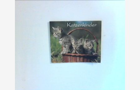 Katzenkinder. Ein Bilderbuch