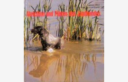 Abrichten und Führen des Jagdhundes [Gebundene Ausgabe] von Konrad Most (Autor), Franz Müller-Darss (Autor) Das besondere Hundebuch