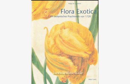 Flora exotica.   - Ein botanisches Prachtwerk von 1720.