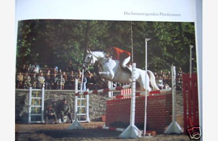 Asil Araber Asil Arabians 1993 Bd. IV Documenta Hippologica Darstellung Pferd