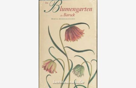 Ein Blumengarten des Barock.   - Hortus Anckelmannianus.