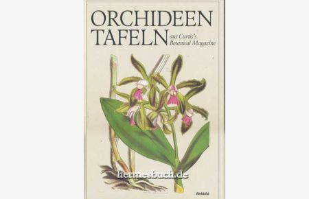 Orchideentafeln aus Curtis's botanical magazine.
